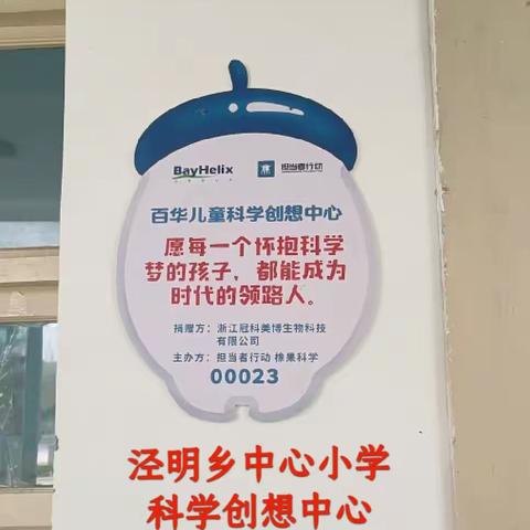 泾明乡中心小学“橡果科学”游园会