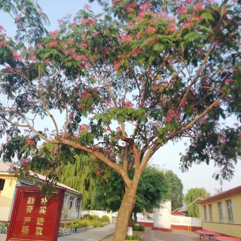 感恩，怀念，逐梦，启航———王店子镇韩新庄小学六年级毕业留念有感