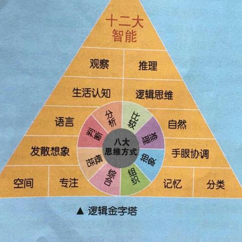 水西镇星光幼儿园2024年第二学期逻辑高课程精彩回顾！