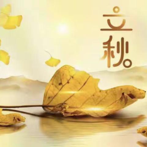 张的美篇