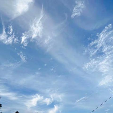 教有所得，研有所获——区教育管理中心莅临谢家堡学区指导工作