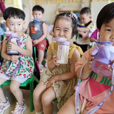 一起来玩水💦——凤娈幼儿园阳阳班6月份主题活动