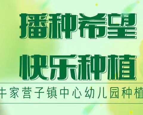 播种希望，快乐种植———牛家营子镇中心幼儿园小三班种植活动纪实