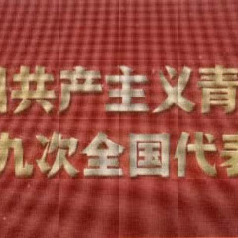 毕家店村团支部学习贯彻团的十九大精神