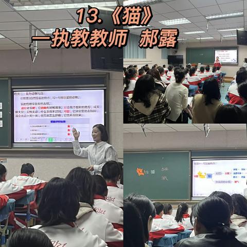 诗意春天“话”教研，勤耕不辍促提升——第一小学大单元任务群备课研讨活动