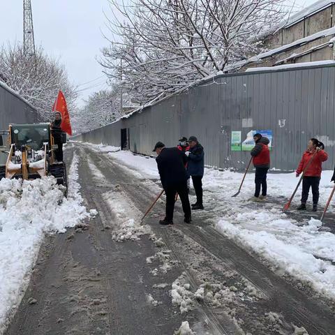 党员先锋 以雪为令 踏雪而行——须水街道小李庄村开展清雪除冰行动