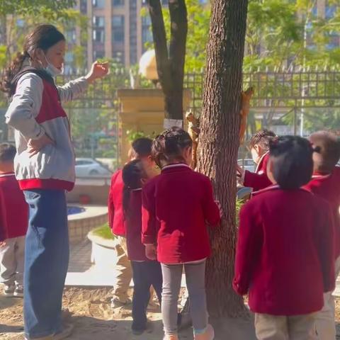 金蝉子爵幼儿园慧雅三班十一月精彩回顾