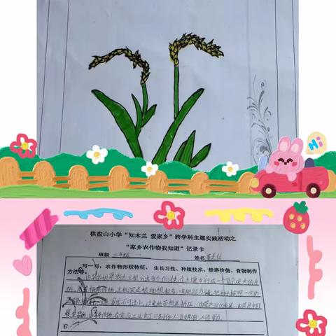 “木兰围场---我可爱的家乡”跨学科主题实践活动                              棋盘山小学二年级