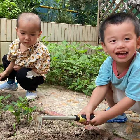 种植的快乐🎉