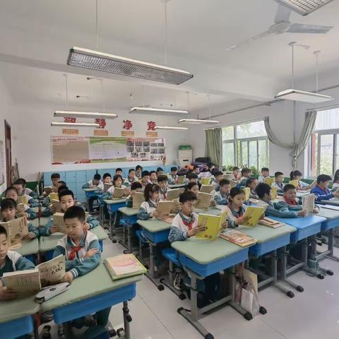 与书为友，“语”你同行——潘南小学五年级二班读书活动