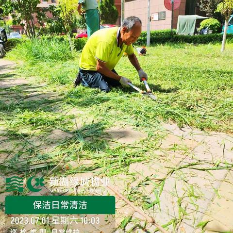 天津新湖项目工作汇报