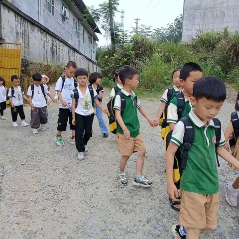 “初探小学•衔接成长” ——幼小衔接.走进小学