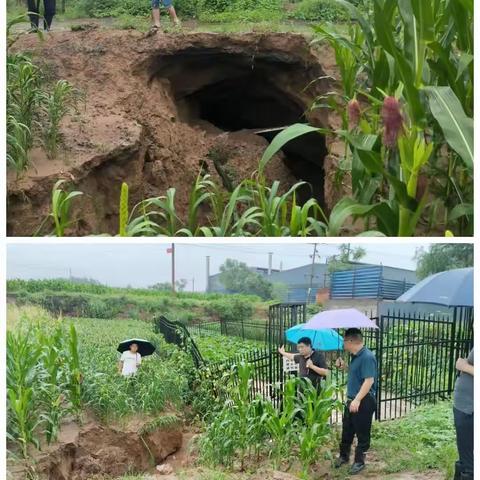 闻“汛”而动，冒雨前行——北安乐乡贾家庄村