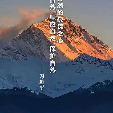 “环”环相扣，“境”遇未来——城固二中开展世界环境日主题活动