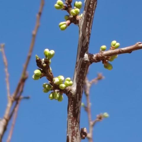 用心耕耘 用爱收获