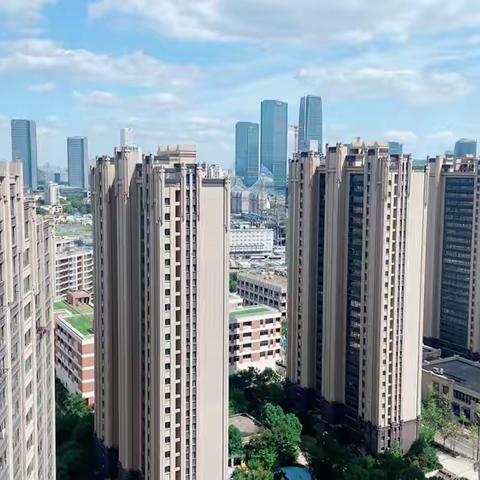 石龙春晓第四季度服务简报