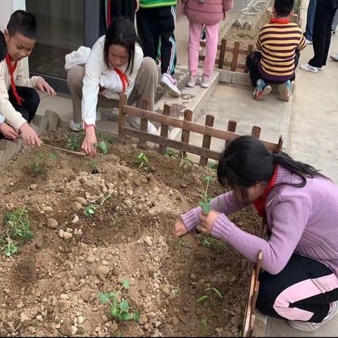 育一粒种，生希望之果——来宾市祥和小学高新校区2019级6班“石榴中队”实践基地活动记录