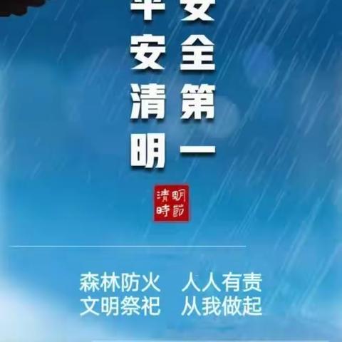 三交镇清明节森林防火倡议书