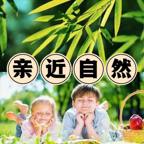 启智幼儿园大四班《叶子》主题总结