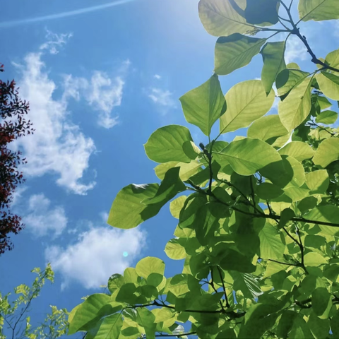 又是一年暑假2024.7.5