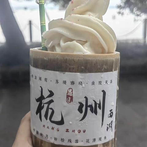 精彩一“夏”，“暑”你最棒——《西湖游记》五6班黄一轩