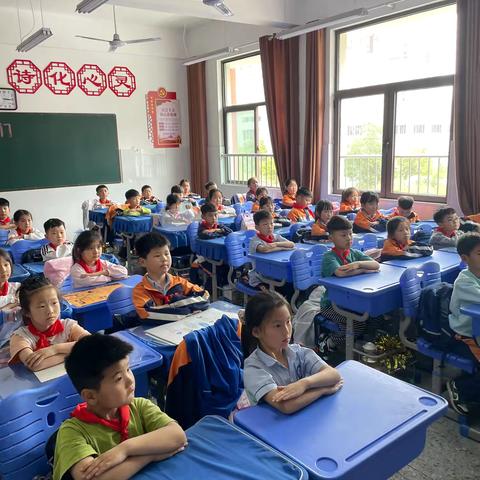 “向阳而生，以梦为马”——嵩县第五实验小学207班班主任工作总结