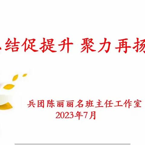 总结促提升 聚力再扬帆 ——兵团陈丽丽名班主任工作室课题总结交流活动