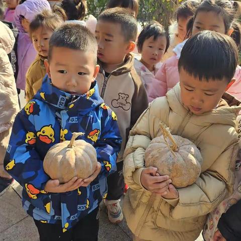 湖滨新区幼儿园中二班“南瓜的奇妙之旅”