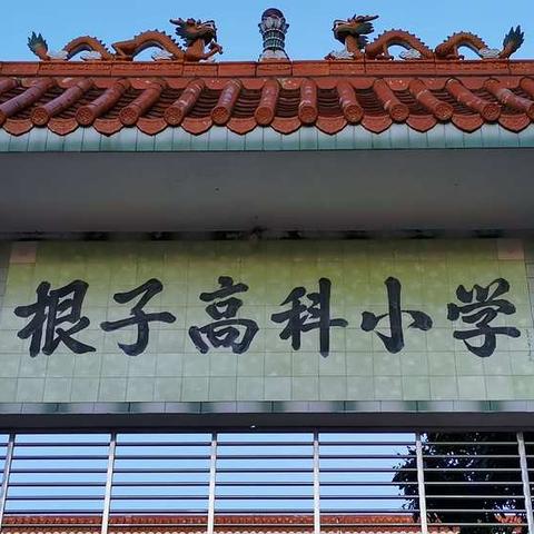 根子镇高科小学少先队“红领巾爱祖国”入队仪式暨庆祝 “ 六一儿童节”活动