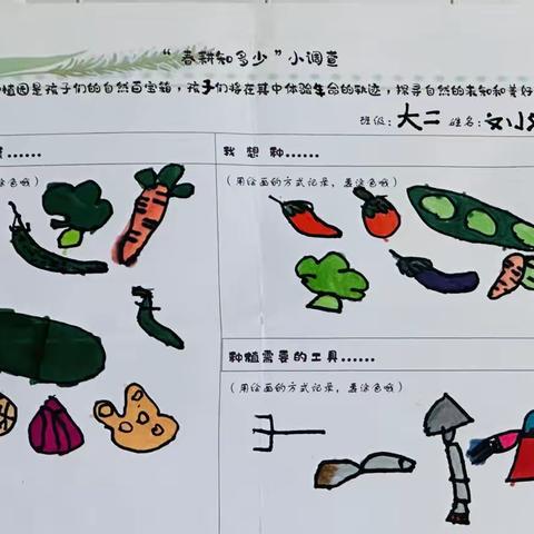 “👋嗨，茄子🍆”—玉溪市红塔区万裕幼儿园大二班种植课程