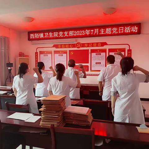 芮城县西陌镇卫生院党支部庆祝中国共产党成立102周年系列活动