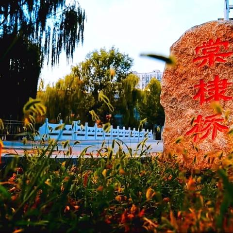 不止于看！泰安一中新校区开放日：深度体验未来3年的“理想型”