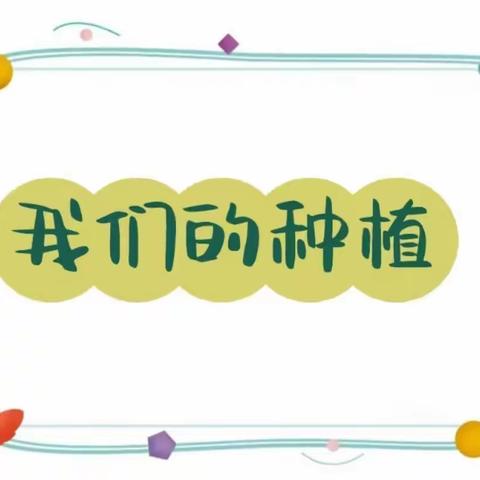 扎赉特旗音德尔第一幼儿园康二班“我们的一亩三分地”