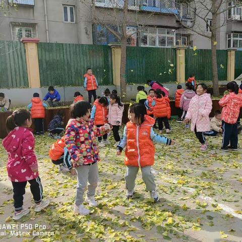 十一月第二周幼儿生活播报