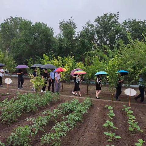 内蒙古自治区教育厅领导莅临扎鲁特旗乌额格其学校检查调研劳动教育开展情况