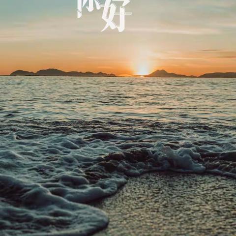 海天一色物业服务中心 1月份工作简报