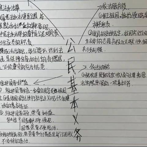 绘制思维导图—政治组学科活动
