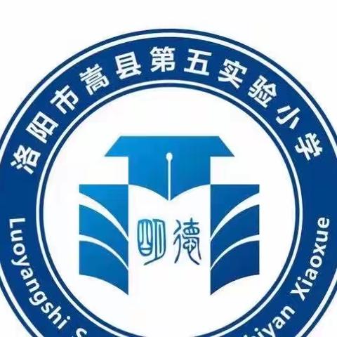 行而不辍，未来可期——嵩县第五实验小学209班工作总结