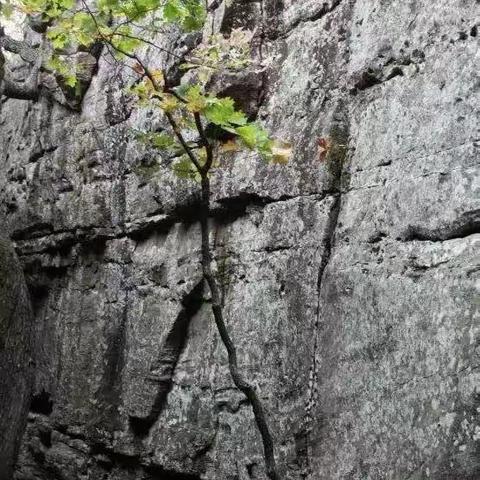 迎着风向前冲，做自己的英雄