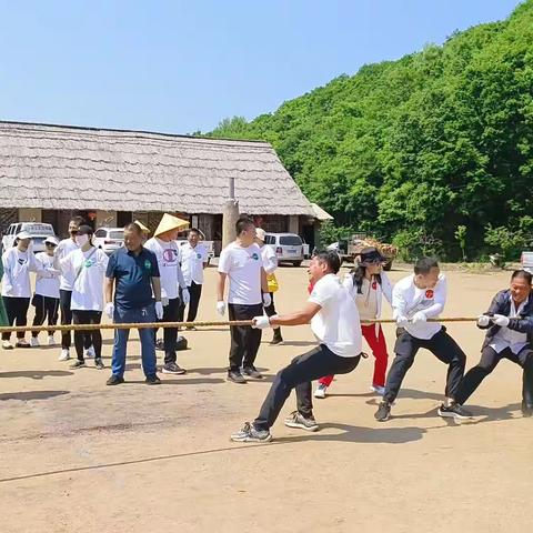 南山城镇总工会开展“党建引领聚合力，工会创新展活力”户外拓展文体活动