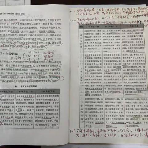 研读新课标 蓄力共成长——王新庄小学教师研读新课标学习活动