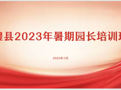 领航，向着明亮远方——澧县2023年暑期园长培训班第二天活动纪实