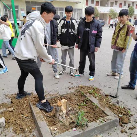 马隘初中2024植树周活动