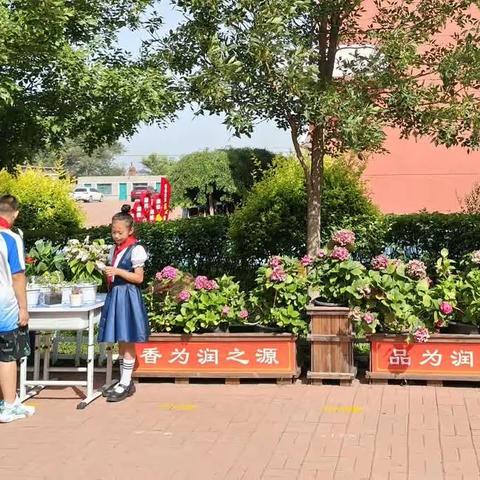 “争做最美小花匠，花儿与我共成长”——茨榆坨第三小学花香校园主题系列活动