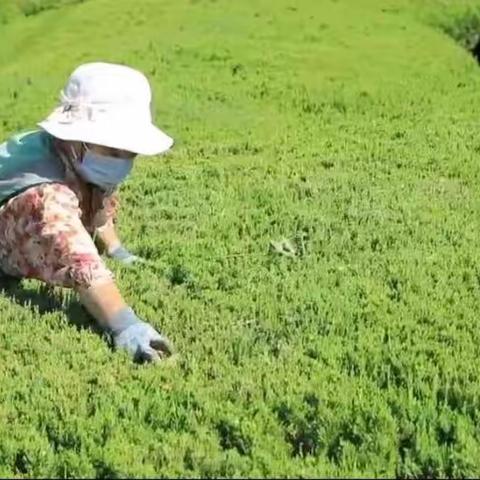 假期里的坚守｜园林工人，你辛苦了