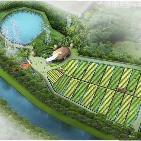 三亚立达学园劳动实践课