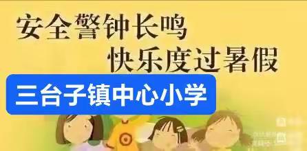 三台子镇中心小学暑假致学生家长一封信