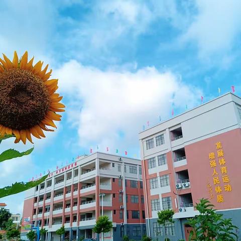 高州市第三小学“除草净校园 •教师齐行动”