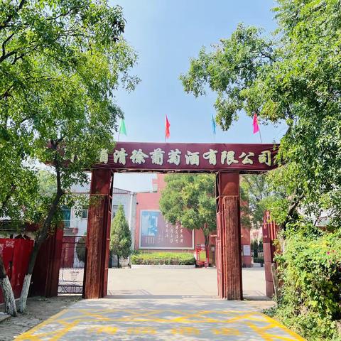 采摘葡萄研学之旅