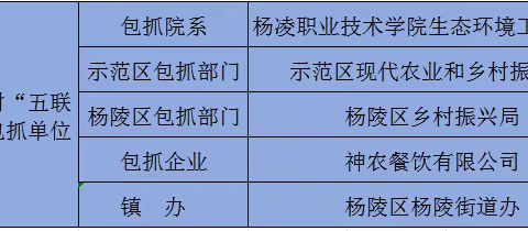 “五联一抓”推进2个村集体发“羊”财——西农萨能奶山羊在区内首次规模化养殖